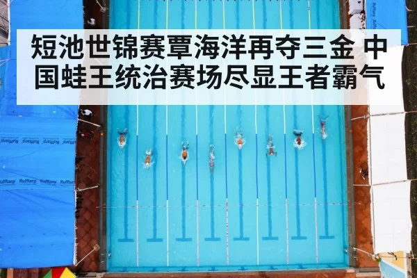 短池世锦赛覃海洋再夺三金 中国蛙王统治赛场尽显王者霸气